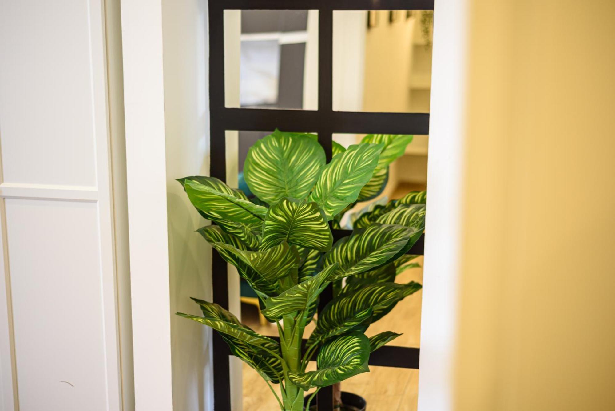 Appartement Luxury In Napels
